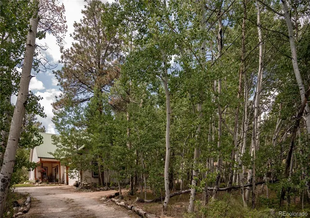 2nd image of 14820 Little Beaver Ln, Nathrop, CO 81236 | MLS# 5740033