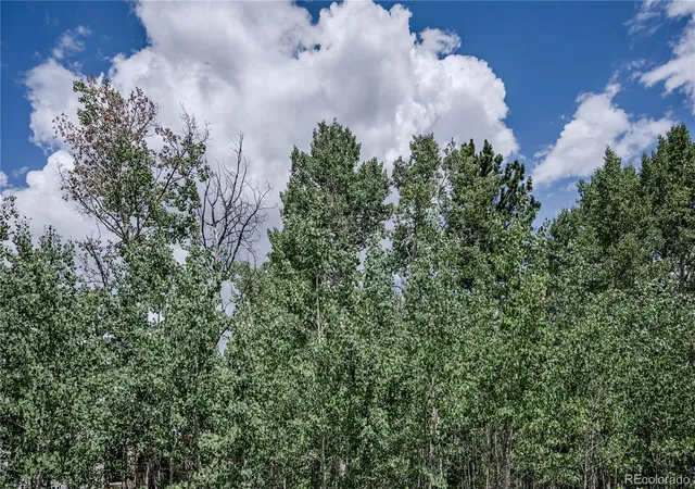48th image of 14820 Little Beaver Ln, Nathrop, CO 81236 | MLS# 5740033