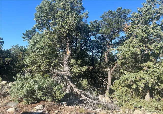 Photo 1 of Land for sale at 3587 3588 Alfresco Way, Crestone, CO 81131 | MLS# 2679228 | Listing updated on 2026-08-05