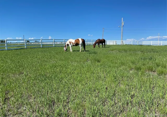 Photo 1 of Single family home for sale at 378 Conestoga Rd, Franktown, CO 80116 | MLS# 6848315 | Listing updated on 2026-10-06