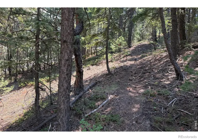 20th image of 2926 Magnolia Dr, Nederland, CO 80466 | MLS# IR1065681