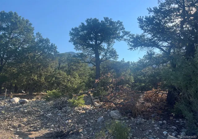 Photo 4 of Land for sale at 3641 Harmony Ct, Crestone, CO 81131 | MLS# 7072057 | Listing updated on 2026-08-05
