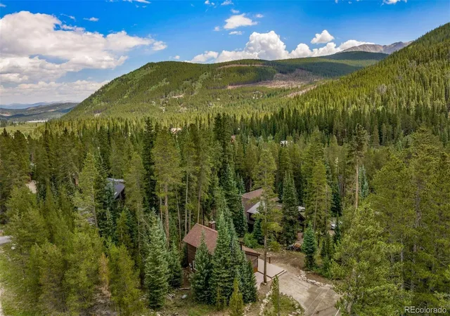 45th image of 17 Blue Grouse Trl, Breckenridge, CO 80424 | MLS# 4980020