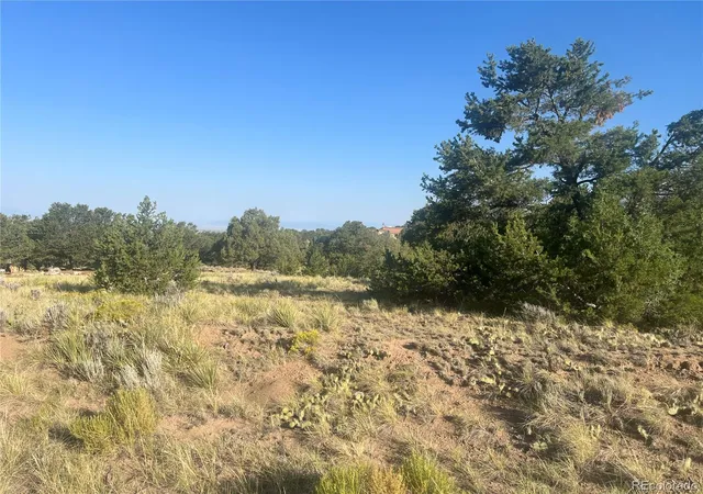 Photo 1 of Land for sale at 4292 Fallen Tree Overlook, Crestone, CO 81131 | MLS# 2158057 | Listing updated on 2026-08-05