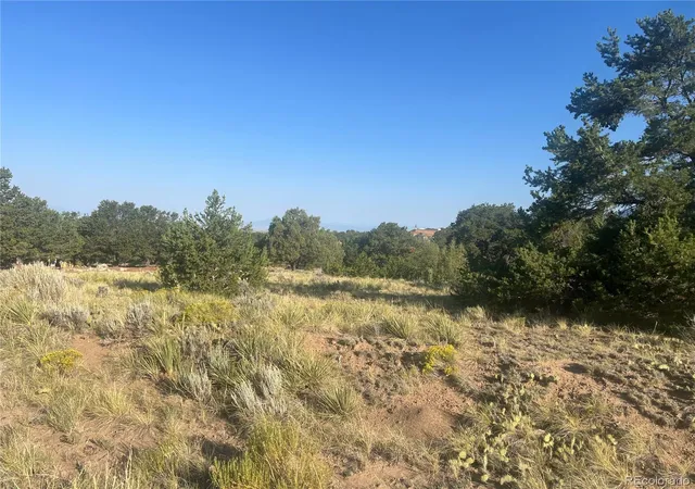Photo 4 of Land for sale at 4292 Fallen Tree Overlook, Crestone, CO 81131 | MLS# 2158057 | Listing updated on 2026-08-05