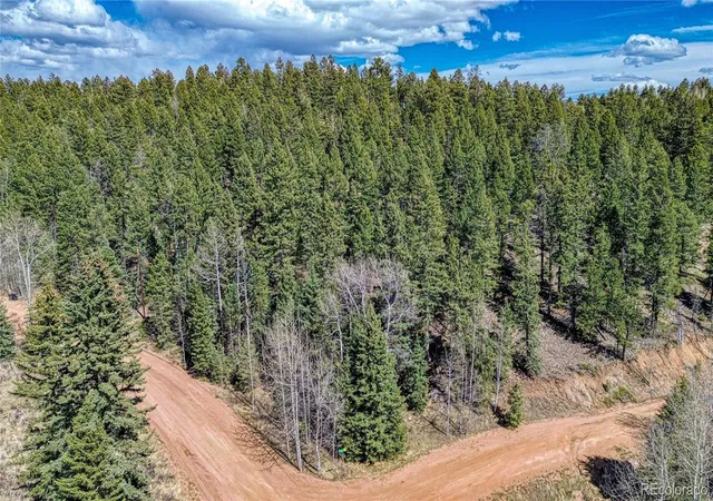 2nd image of 3075 N Mountain Estates Rd, Florissant, CO 80816 | MLS# 4631562