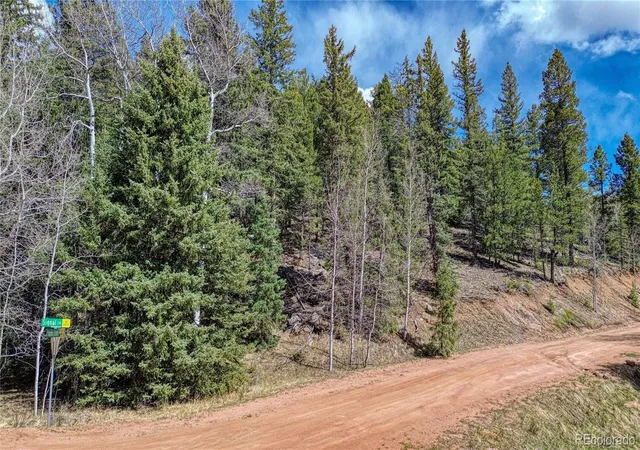 21st image of 3075 N Mountain Estates Rd, Florissant, CO 80816 | MLS# 4631562