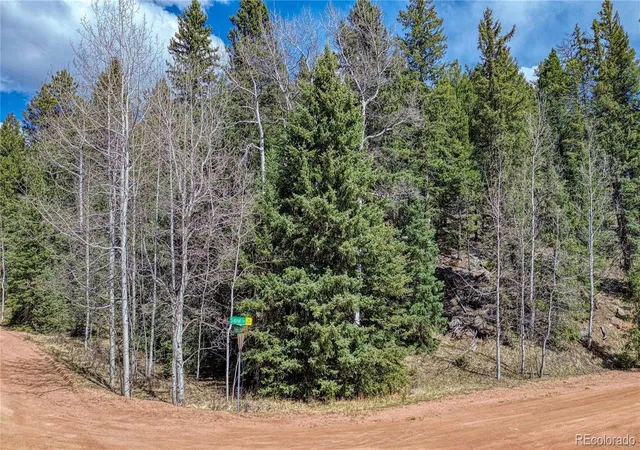 3rd image of 3075 N Mountain Estates Rd, Florissant, CO 80816 | MLS# 4631562