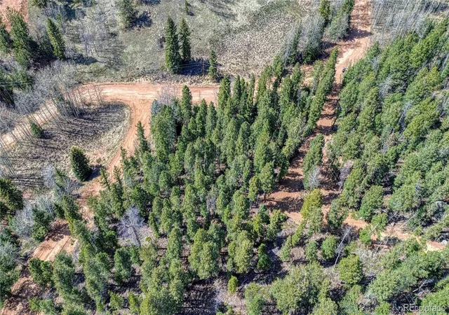 4th image of 3075 N Mountain Estates Rd, Florissant, CO 80816 | MLS# 4631562