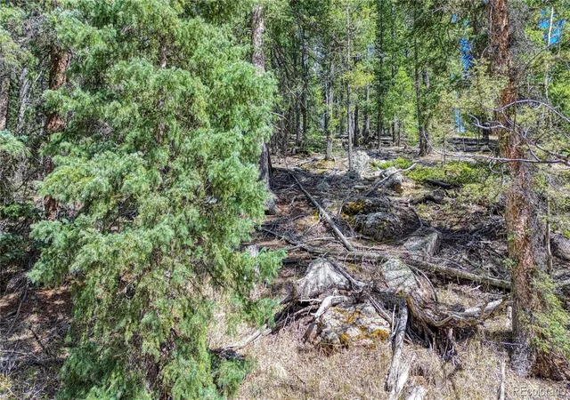 5th image of 3075 N Mountain Estates Rd, Florissant, CO 80816 | MLS# 4631562