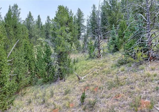 20th image of 71 Brown Bear Ln, Cripple Creek, CO 80813 | MLS# 5553464