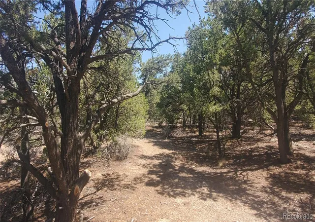 Photo 3 of Land for sale at Lot 1412 Michaels Rd, Fort Garland, CO 81133 | MLS# 6393236 | Listing updated on 2026-08-13