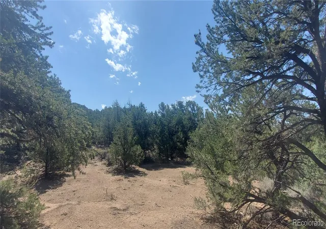 Photo 4 of Land for sale at Lot 1412 Michaels Rd, Fort Garland, CO 81133 | MLS# 6393236 | Listing updated on 2026-08-13