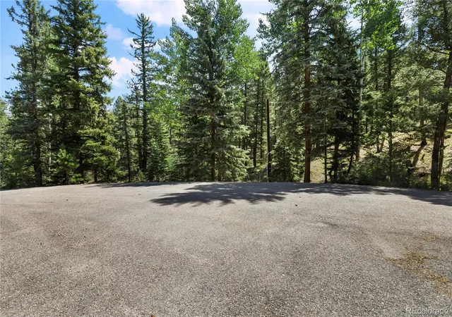 41st image of 734 Kutsu Ridge Rd, Florissant, CO 80816 | MLS# 2638380
