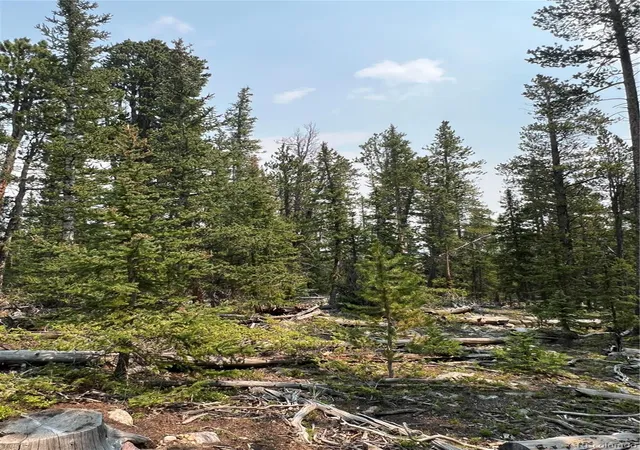 Photo 19 of Land for sale at 914 Bobcat Ln, Fairplay, CO 80440 | MLS# 5773753 | Listing updated on 2026-08-05