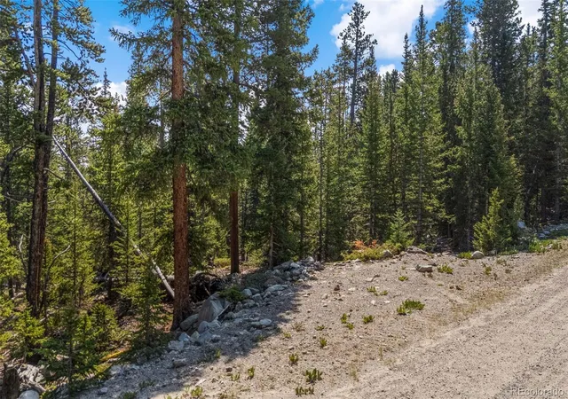 Photo 4 of Land for sale at 914 Bobcat Ln, Fairplay, CO 80440 | MLS# 5773753 | Listing updated on 2026-08-05