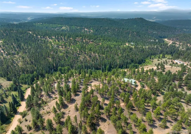 50th image of 1205 Arapahoe Creek Trl, Florissant, CO 80816 | MLS# 7407847