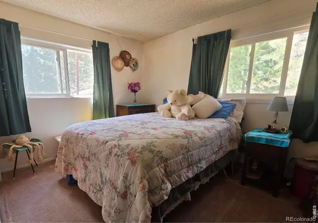 3rd image of 135 Brookside Dr, Bailey, CO 80421 | MLS# IR1065777