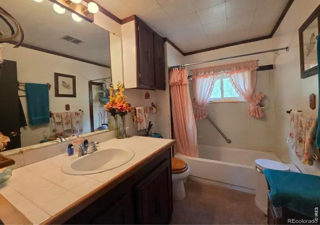 4th image of 135 Brookside Dr, Bailey, CO 80421 | MLS# IR1065777