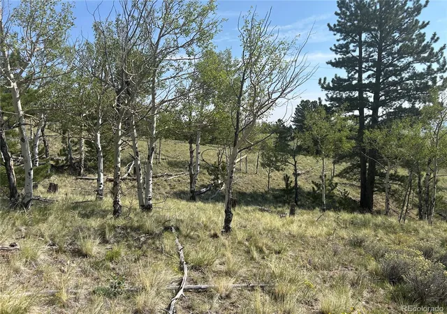 1st image of 11414 Ranch Rd, Hartsel, CO 80449 | MLS# 5290468