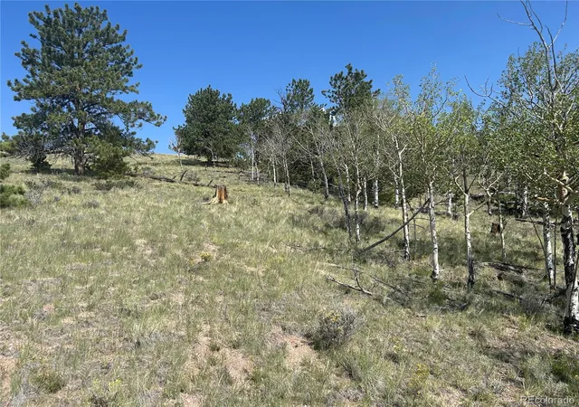 2nd image of 11414 Ranch Rd, Hartsel, CO 80449 | MLS# 5290468