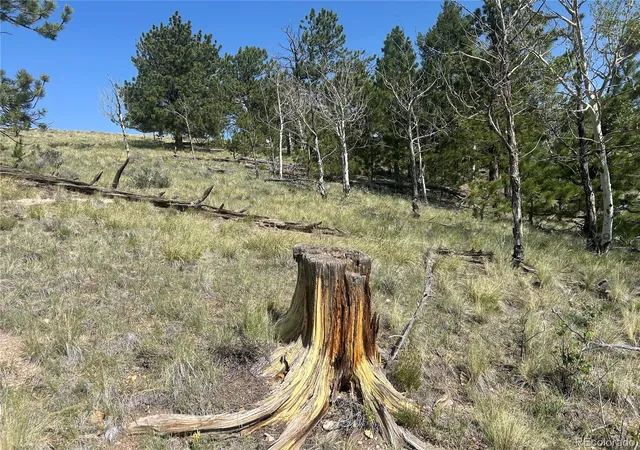 3rd image of 11414 Ranch Rd, Hartsel, CO 80449 | MLS# 5290468