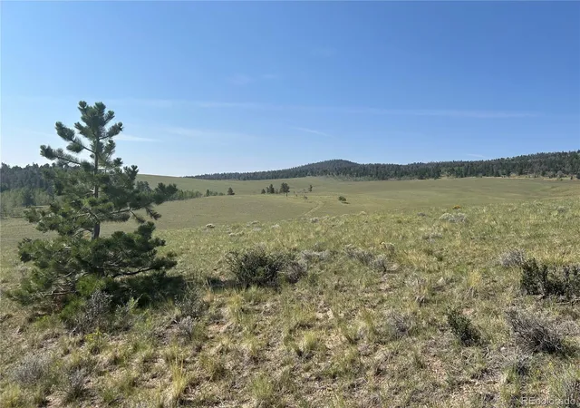 4th image of 11414 Ranch Rd, Hartsel, CO 80449 | MLS# 5290468