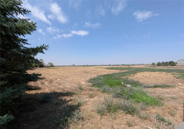 40th image of 1611 Red Poppy Dr, Brighton, CO 80601 | MLS# 2256328