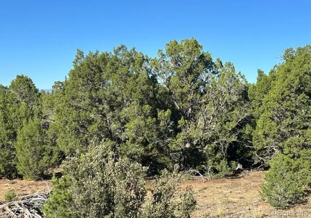 5th image of Lot 12 City Ranch Property, Walsenburg, CO 81089 | MLS# 2906668