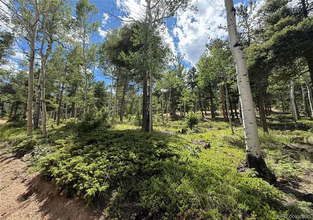 2nd image of 167 Big Bear Rd, Manitou Springs, CO 80829 | MLS# 6625185