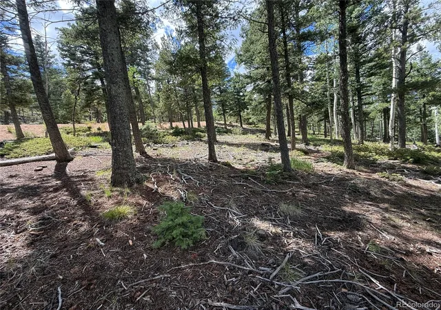 3rd image of 167 Big Bear Rd, Manitou Springs, CO 80829 | MLS# 6625185