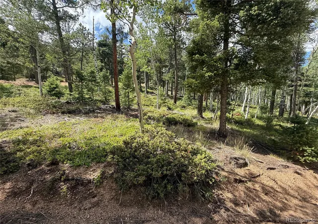 4th image of 167 Big Bear Rd, Manitou Springs, CO 80829 | MLS# 6625185