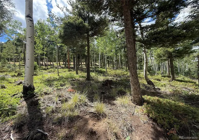 5th image of 167 Big Bear Rd, Manitou Springs, CO 80829 | MLS# 6625185