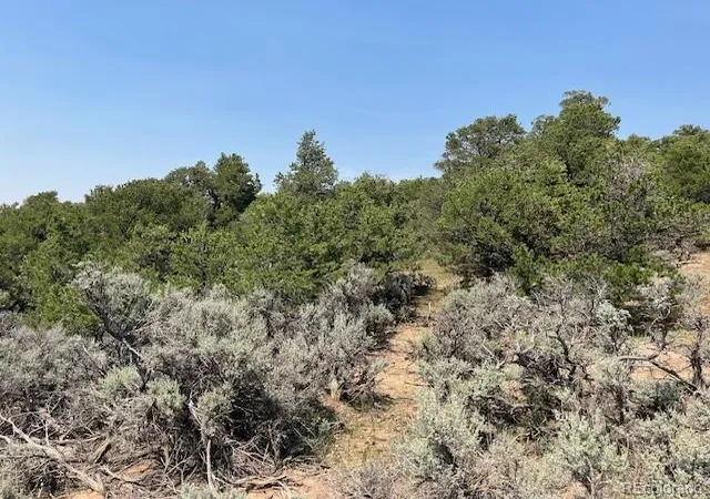 Photo 4 of Land for sale at Lot 12 Bull Elk Trl, San Luis, CO 81152 | MLS# 4702967 | Listing updated on 2026-08-21