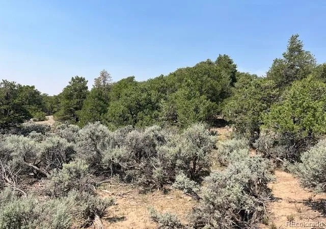 Photo 5 of Land for sale at Lot 12 Bull Elk Trl, San Luis, CO 81152 | MLS# 4702967 | Listing updated on 2026-08-21