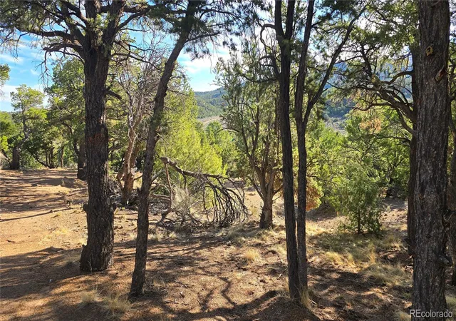 Photo 4 of Land for sale at Lot 2232 Solaz Rd, Fort Garland, CO 81133 | MLS# 7715726 | Listing updated on 2026-08-06