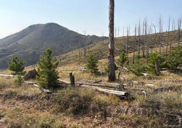 1st image of 0 Pine Acres Rd, Bellvue, CO 80512 | MLS# IR1065958
