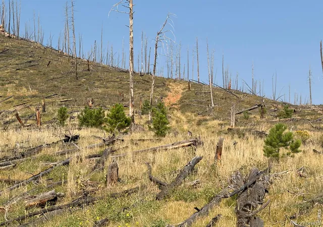 2nd image of 0 Pine Acres Rd, Bellvue, CO 80512 | MLS# IR1065958