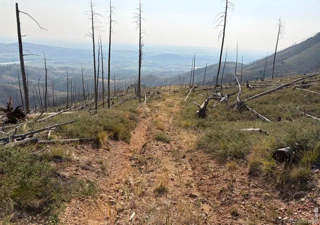 34th image of 0 Pine Acres Rd, Bellvue, CO 80512 | MLS# IR1065958