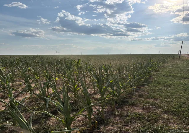 Photo 4 of Land for sale at Ne4 27 10s 45w, Bethune, CO 80807 | MLS# 7110040 | Listing updated on 2026-09-03