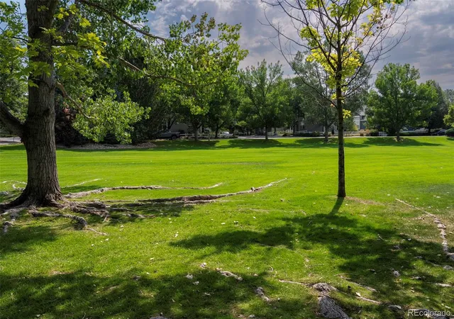 46th image of 811 Snowberry St, Longmont, CO 80503 | MLS# 6225312