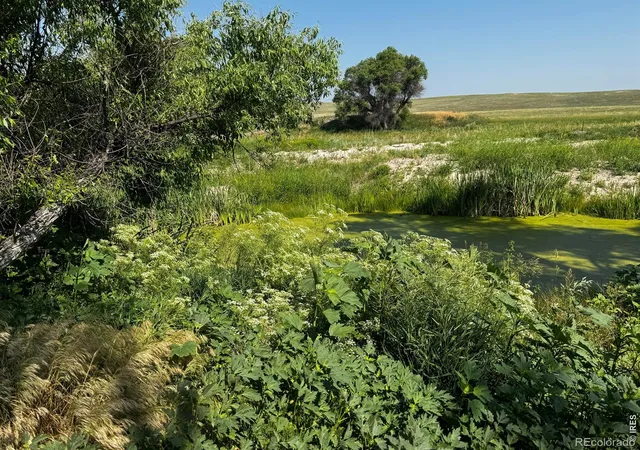 38th image of 29643 Cr 17/21, Elizabeth, CO 80107 | MLS# IR1065998