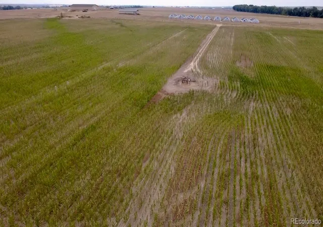 4th image of 160Th Ave, Keenesburg, CO 80643 | MLS# 7198484
