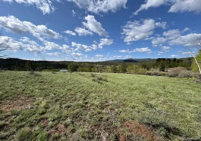 2nd image of 191 Cimarron Rd, Red Feather Lakes, CO 80545 | MLS# IR1066039