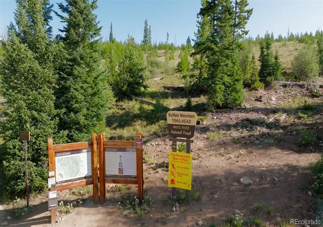 36th image of 91300 Ryan Gulch Rd #91301, Silverthorne, CO 80498 | MLS# 9480991