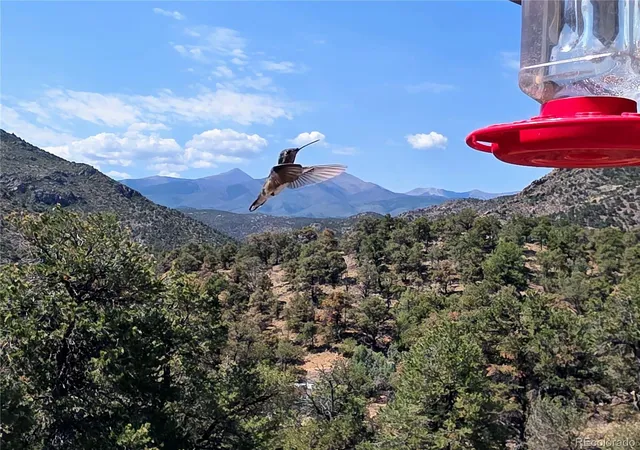3rd image of 291 County Road 51, Cotopaxi, CO 81223 | MLS# 9160903