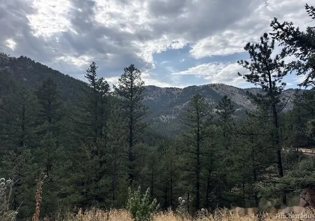 2nd image of 397 Glendale Gulch Rd, Jamestown, CO 80455 | MLS# 6821329