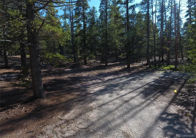 23rd image of 248 Venture Rd, Fairplay, CO 80440 | MLS# 9129886