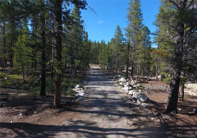 4th image of 248 Venture Rd, Fairplay, CO 80440 | MLS# 9129886