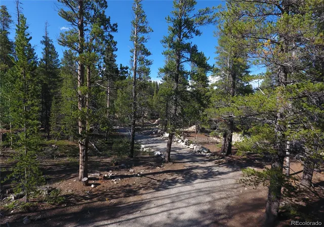 5th image of 248 Venture Rd, Fairplay, CO 80440 | MLS# 9129886